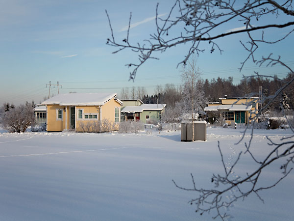 Siirtolapuutarhaa